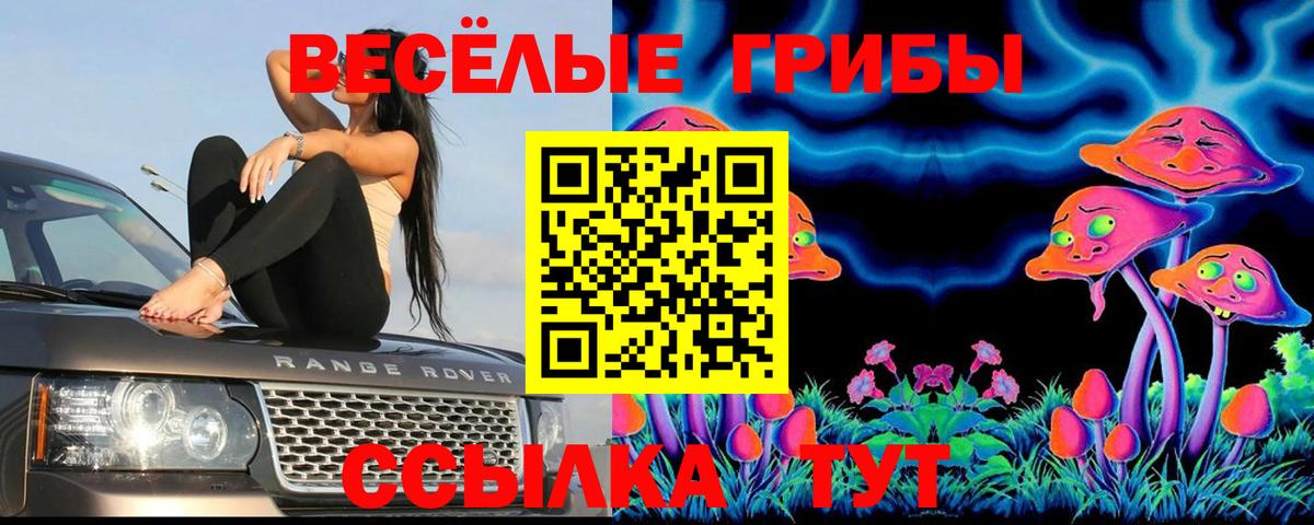 Галлюциногенные грибы прущие грибы Лабытнанги